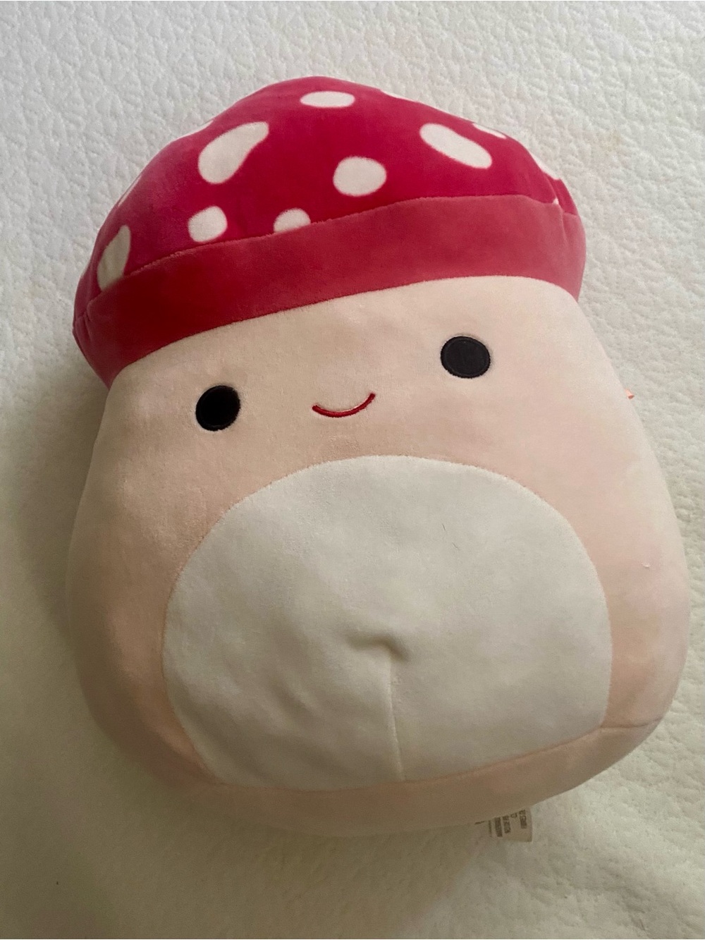 Squishmallow Malcolm the mushroom 16”